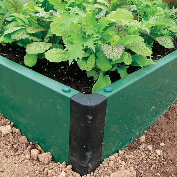 Buy Build a Board Extension Kit Online - Green plants & flowering plants