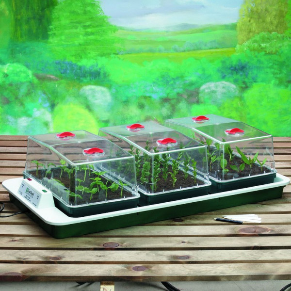 Buy Big 3 Electric Propagator Online - Green plants & flowering plants