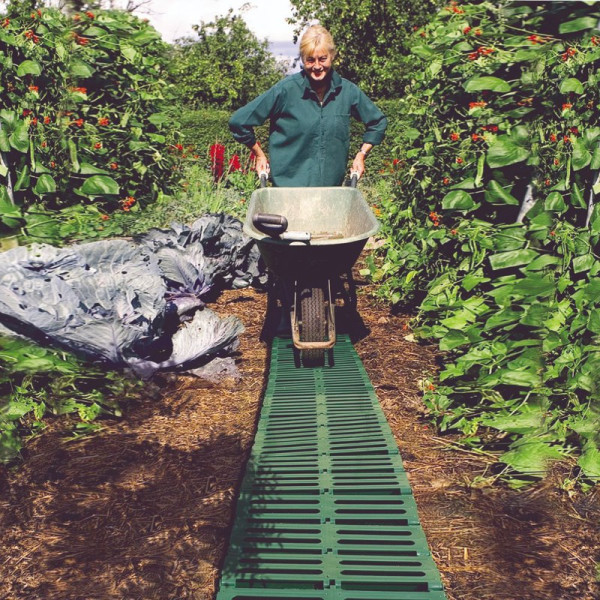 Buy Garden Track Online - Green plants & flowering plants Buy Garden Track Online - Green plants & flowering plants