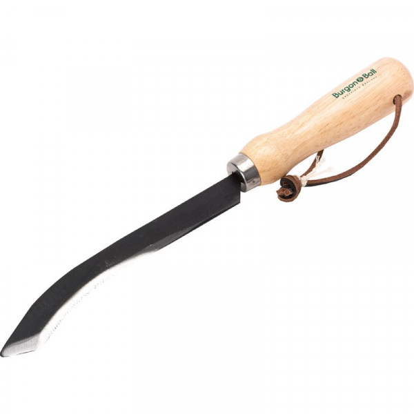 Buy Harvesting and Asparagus Knife Online - Green plants & flowering plants