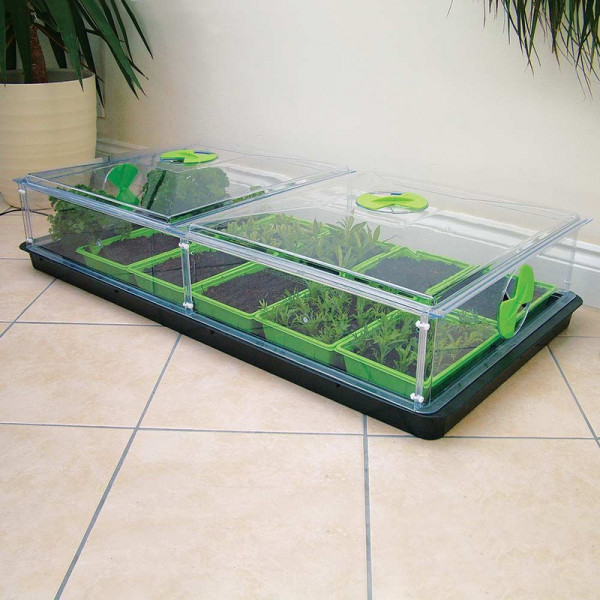 Buy Vitopod Double Propagator plus Add on Layer Online - Green plants & flowering plants
