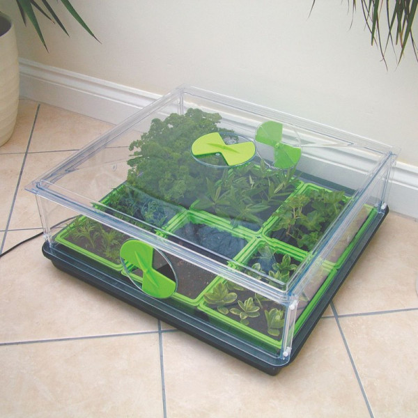 Buy Vitopod Propagator plus Add on Layer Online - Green plants & flowering plants Buy Vitopod Propagator plus Add on Layer Online - Green plants & flowering plants