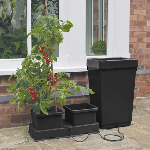 Buy Easy 2 Grow Irrigation Kit and Extension Kit Online - Green plants & flowering plants