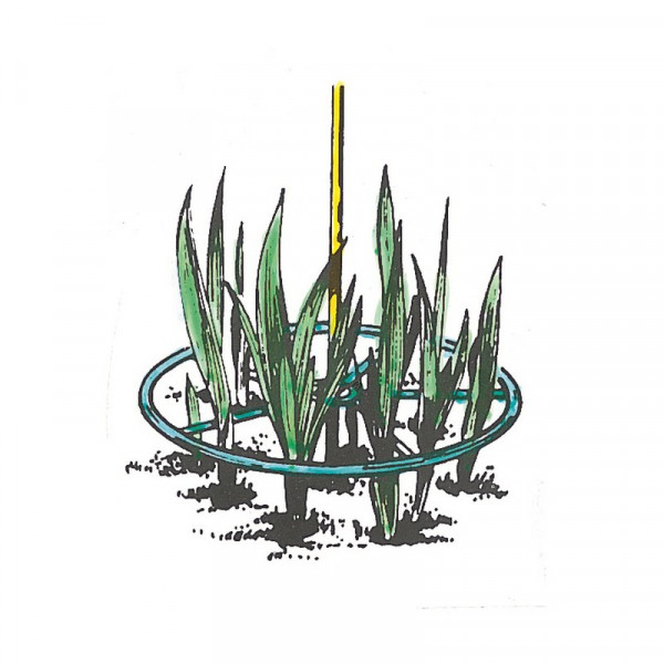 Buy Plant Support Rings 30cm (12) Pack 6 x 2 Online - Green plants & flowering plants