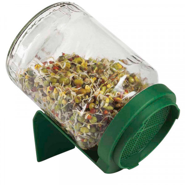Buy Germinator Sprouter Jar Online - Green plants & flowering plants