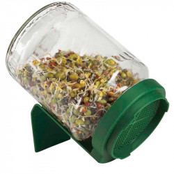 Germinator Sprouter Jars (triple Pack)