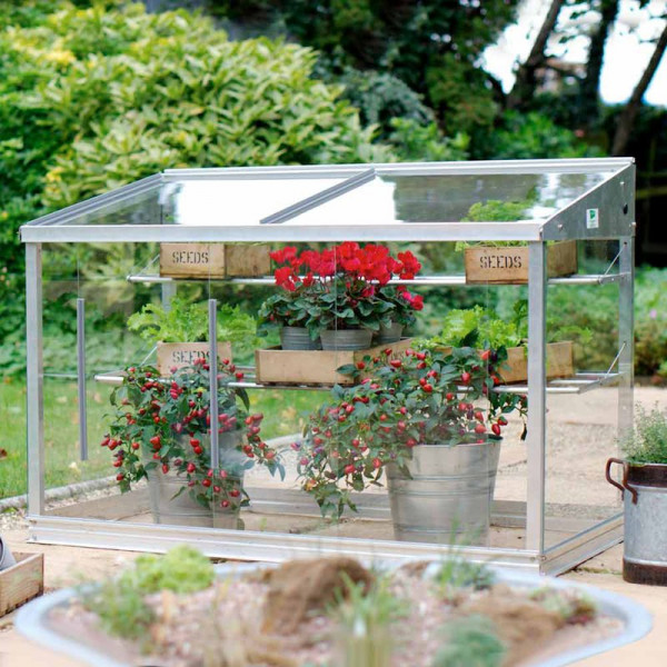 Buy Half Growhouse Online - Green plants & flowering plants