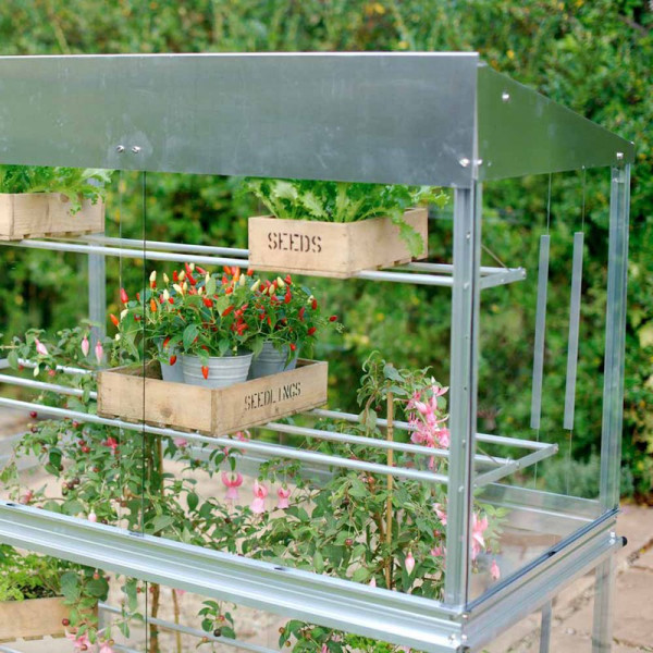 Buy Growhouse Online - Green plants & flowering plants