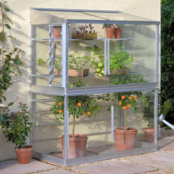 Buy Wall Frame Online - Green plants & flowering plants