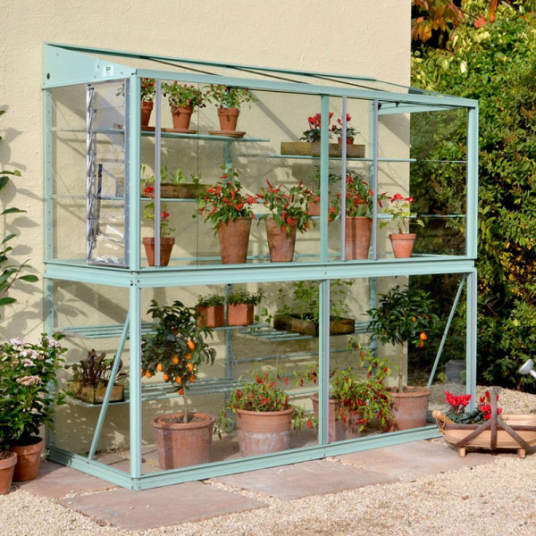 Buy Deluxe Classic Lean to Cotswold Green Online - Green plants & flowering plants