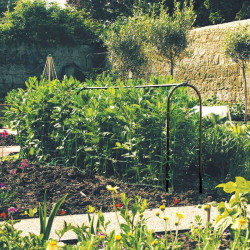 Pea & Bean Hoops Frames Matt Black