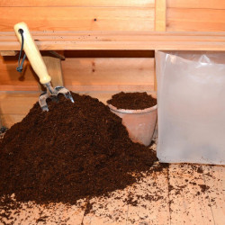 Coir Compact Planting Soil 10 Litre X 1