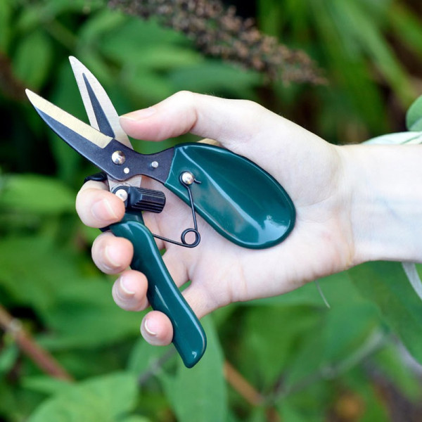 Buy RHS Ergo Deadheader Online - Green plants & flowering plants