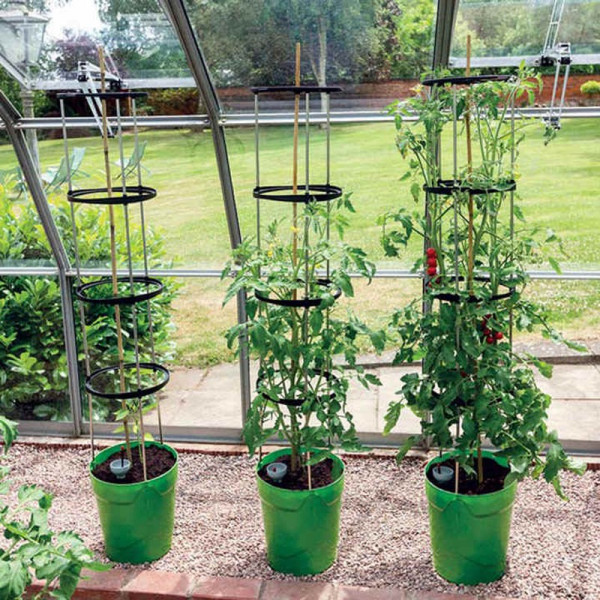 Buy Self Watering Grow Pot Tower Online - Green plants & flowering plants