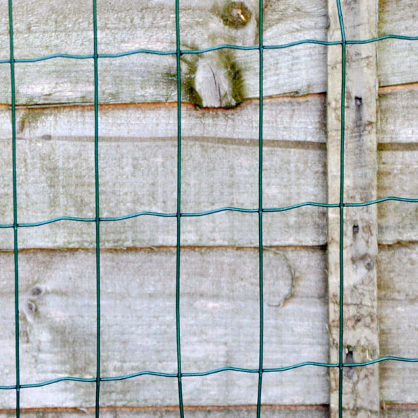 Buy Plastic Coated Mesh Fencing Online - Green plants & flowering plants Buy Plastic Coated Mesh Fencing Online - Green plants & flowering plants