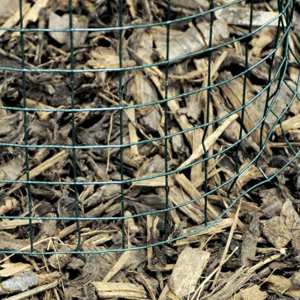 Buy Plastic Coated Wire Fencing Online - Green plants & flowering plants Buy Plastic Coated Wire Fencing Online - Green plants & flowering plants