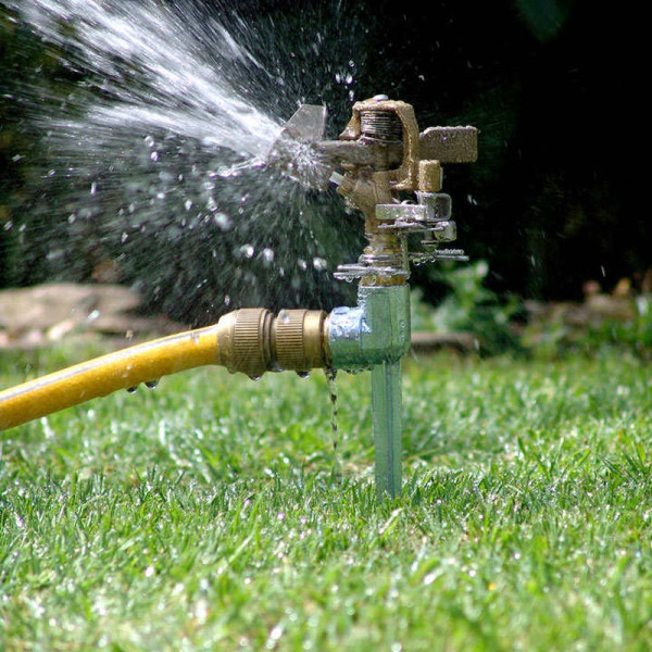 Buy Metal Spike Pulsating Sprinkler Online - Green plants & flowering plants Buy Metal Spike Pulsating Sprinkler Online - Green plants & flowering plants