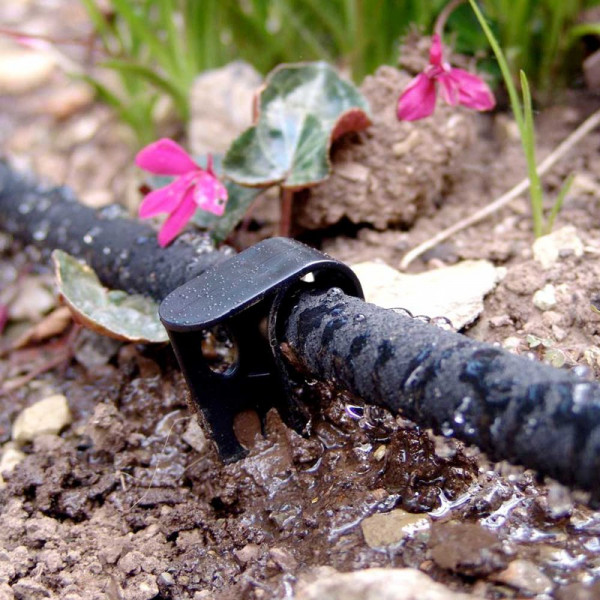 Buy Soaker Hose Online - Green plants & flowering plants