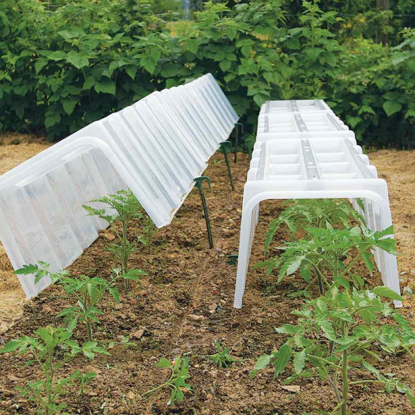 Buy Forcing Tunnel 105x39x30 cm Online - Green plants & flowering plants Buy Forcing Tunnel 105x39x30 cm Online - Green plants & flowering plants