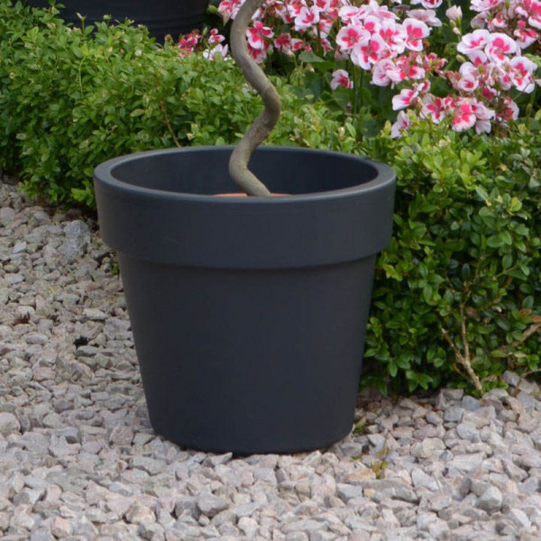 Buy Top Planter Living Grey 30cm x 2 Online - Green plants & flowering plants