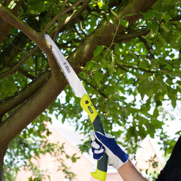 Buy Kew Large Folding Pruning Saw Online - Green plants & flowering plants Buy Kew Large Folding Pruning Saw Online - Green plants & flowering plants