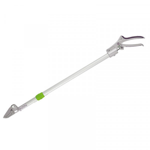 Buy Kew Long Reach Pruner Online - Green plants & flowering plants Buy Kew Long Reach Pruner Online - Green plants & flowering plants