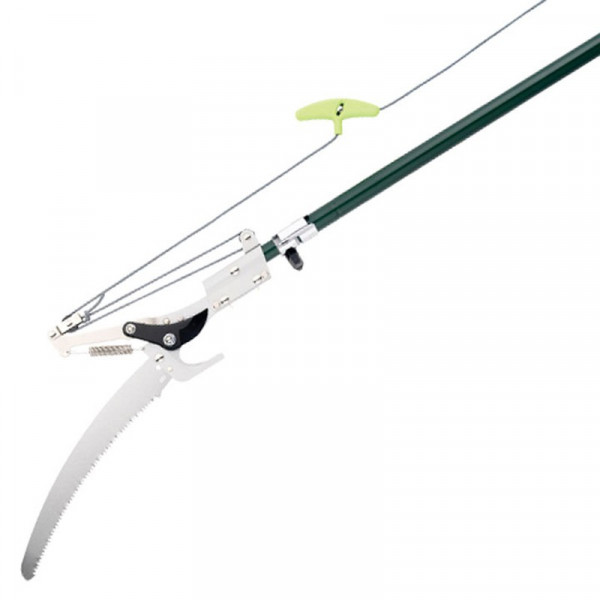 Buy Kew Telescopic Tree Pruner Online - Green plants & flowering plants