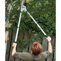 Kew Heavy Duty Telescopic Rachet Anvil Loppers
