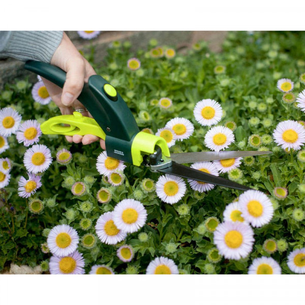 Buy Kew Single Handed Grass Shear Online - Green plants & flowering plants Buy Kew Single Handed Grass Shear Online - Green plants & flowering plants