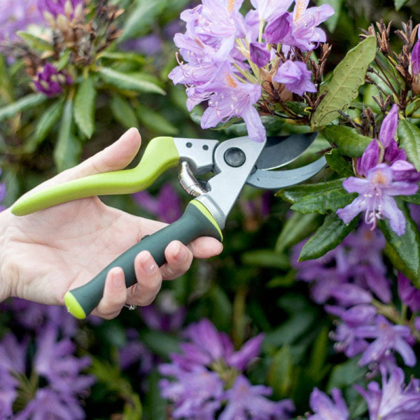 Buy Kew Ergo Twist Bypass Secateurs Online - Green plants & flowering plants Buy Kew Ergo Twist Bypass Secateurs Online - Green plants & flowering plants