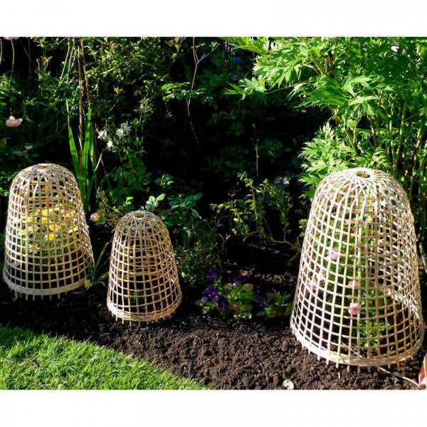 Buy Bamboo Bell Cloches Medium Online - Green plants & flowering plants