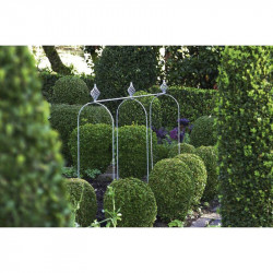 Pea & Bean Hoops Frame Base