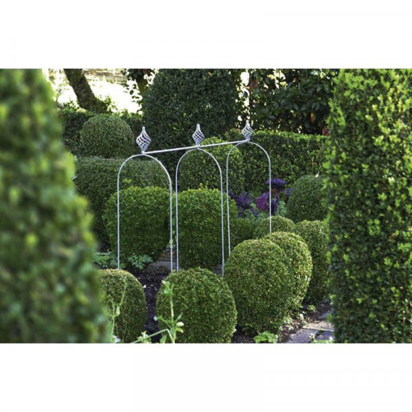 Buy Pea & Bean Hoops Frame Base Online - Green plants & flowering plants Buy Pea & Bean Hoops Frame Base Online - Green plants & flowering plants