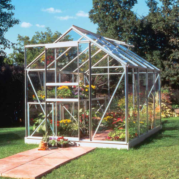 Buy Halls Aluminium Popular Greenhouse with Hort. Glass 6' x 8' + Accessories Online - Green plants & flowering plants