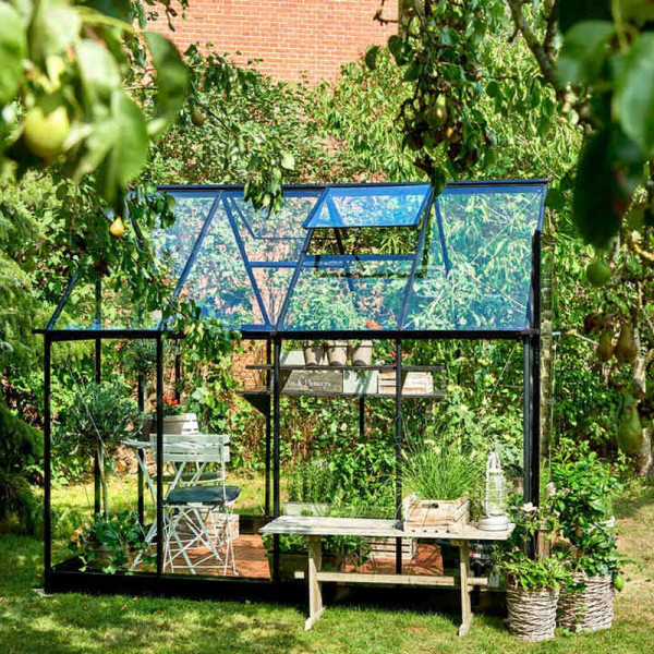 Buy Greenhouse Qube 610 Black Frame, Toughened Glass with Base Online - Green plants & flowering plants Buy Greenhouse Qube 610 Black Frame, Toughened Glass with Base Online - Green plants & flowering plants