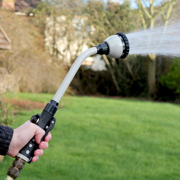 Buy 9 Pattern Lance Online - Green plants & flowering plants