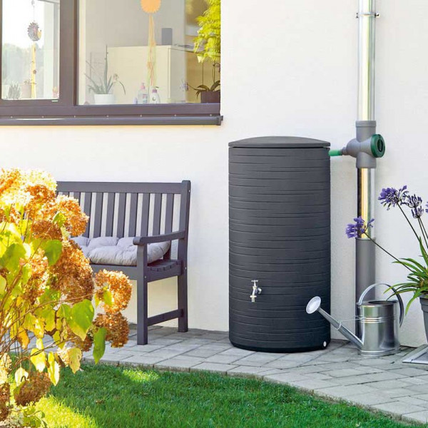 Buy Water Tank Novara Online - Green plants & flowering plants