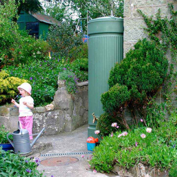 Buy Water Tank Column Online - Green plants & flowering plants