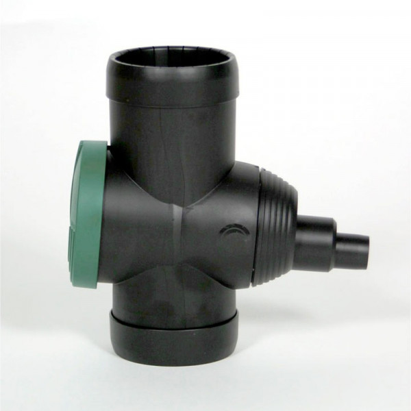 Buy Filter Collector Online - Green plants & flowering plants