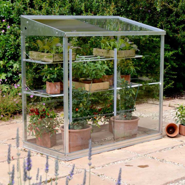 Buy Midi Growhouse Online - Green plants & flowering plants