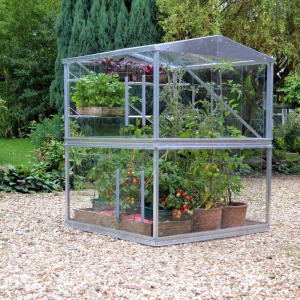 Buy Double Tomato House Online - Green plants & flowering plants