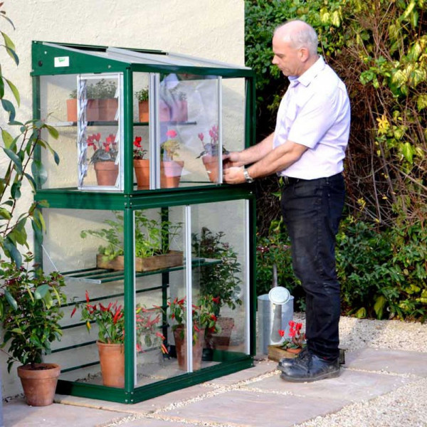 Buy Deluxe 3'4 Harewood Midi Growhouse Racing Green Online - Green plants & flowering plants