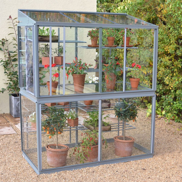 Buy Deluxe 6' 5 Exbury Growhouse Smokey Grey Online - Green plants & flowering plants