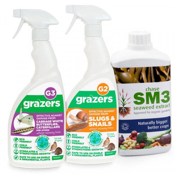 Buy Seaweed Feed & Protect Kit Online - Green plants & flowering plants Buy Seaweed Feed & Protect Kit Online - Green plants & flowering plants