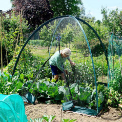Popadome Insect Net Cover