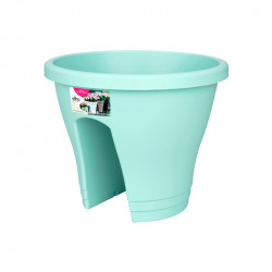 Corsica Flower Bridge Mint