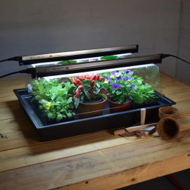 Geopod Standard with 60cm Lights and Thermostat (37 Watt) Standard 37 Watts Heated Propagator
