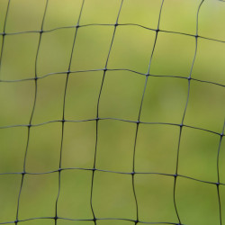 Butterfly Protection Netting 4m X 5m