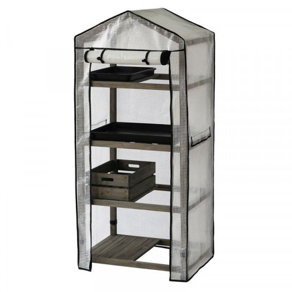 Buy Wooden 4 tier Greenhouse Online - Green plants & flowering plants