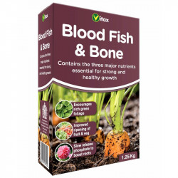 Blood Fish & Bone
